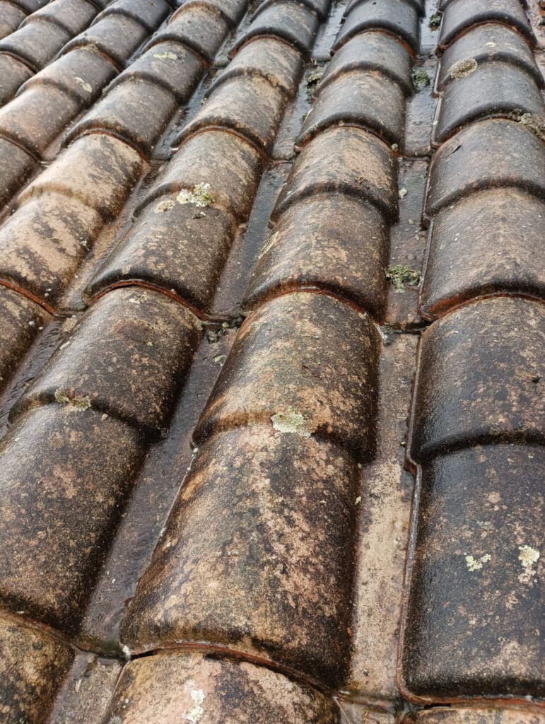 Tuiles de toit en terre cuite mouillées par la pluie, avec mousse et lichen sur la surface. L'eau stagne entre les rangées.